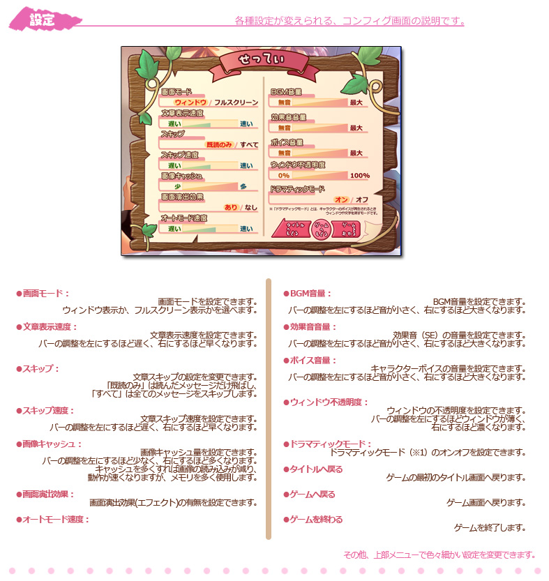 setumei_config.jpg