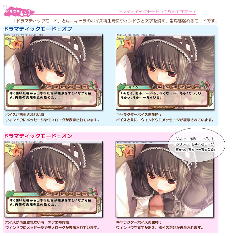 setumei_drama.jpg