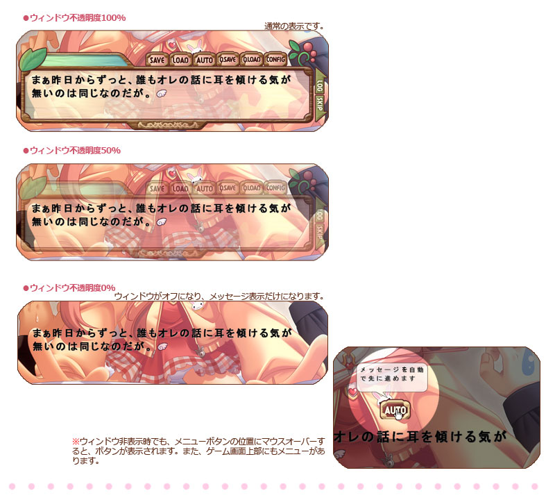 setumei_window.jpg